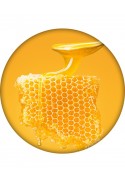 Hyaluronic Lip Balm Honey