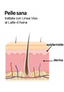 Siero Madre al Latte d'Asina