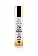 HOLLYWOOD GOLD SPRAY 24K colloidal gold face spray Wonder Company